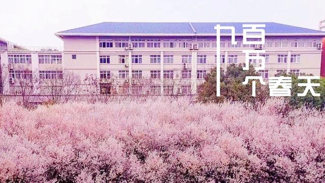 九百万个春天,因为有你终将绽放